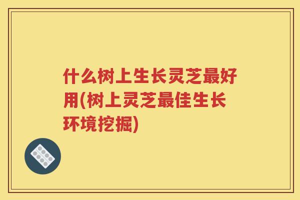 什么树上生长灵芝最好用(树上灵芝最佳生长环境挖掘)