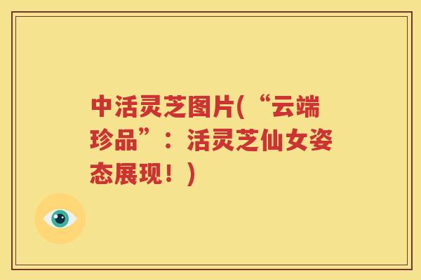中活灵芝图片(“云端珍品”：活灵芝仙女姿态展现！)