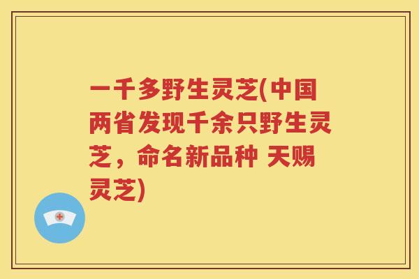 一千多野生灵芝(中国两省发现千余只野生灵芝，命名新品种 天赐灵芝)