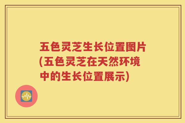五色灵芝生长位置图片(五色灵芝在天然环境中的生长位置展示)
