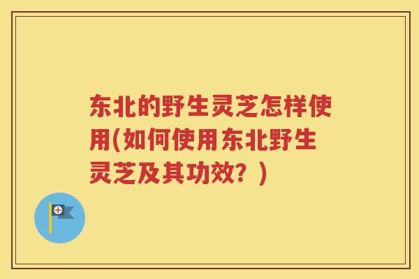 东北的野生灵芝怎样使用(如何使用东北野生灵芝及其功效？)