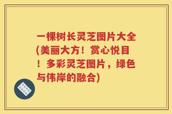 一棵树长灵芝图片大全(美丽大方！赏心悦目！多彩灵芝图片，绿色与伟岸的融合)
