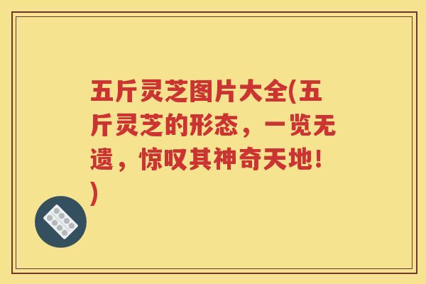 五斤灵芝图片大全(五斤灵芝的形态，一览无遗，惊叹其神奇天地！)