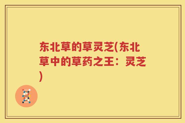 东北草的草灵芝(东北草中的草药之王：灵芝)