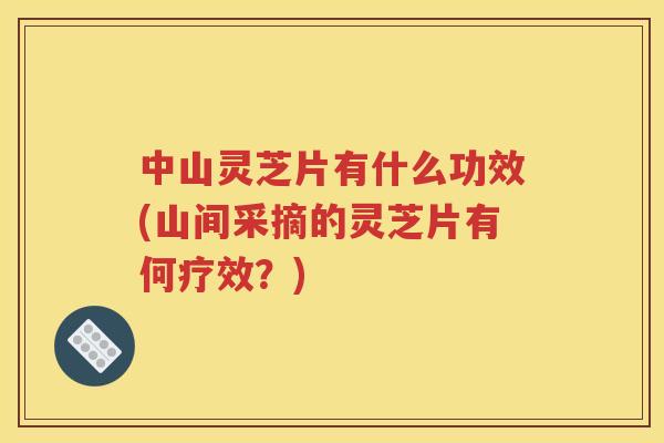 中山灵芝片有什么功效(山间采摘的灵芝片有何疗效？)
