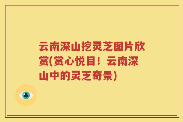 云南深山挖灵芝图片欣赏(赏心悦目！云南深山中的灵芝奇景)