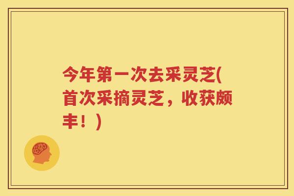 今年第一次去采灵芝(首次采摘灵芝，收获颇丰！)