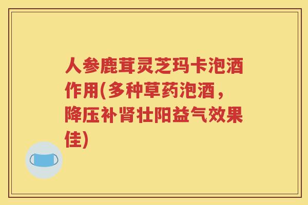 人参鹿茸灵芝玛卡泡酒作用(多种草药泡酒，降压补肾壮阳益气效果佳)