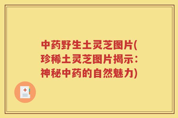 中药野生土灵芝图片(珍稀土灵芝图片揭示：神秘中药的自然魅力)