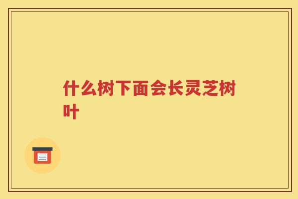 什么树下面会长灵芝树叶