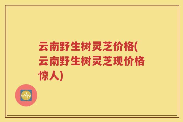 云南野生树灵芝价格(云南野生树灵芝现价格惊人)