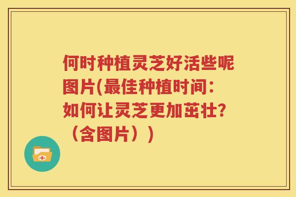 何时种植灵芝好活些呢图片(最佳种植时间：如何让灵芝更加茁壮？（含图片）)