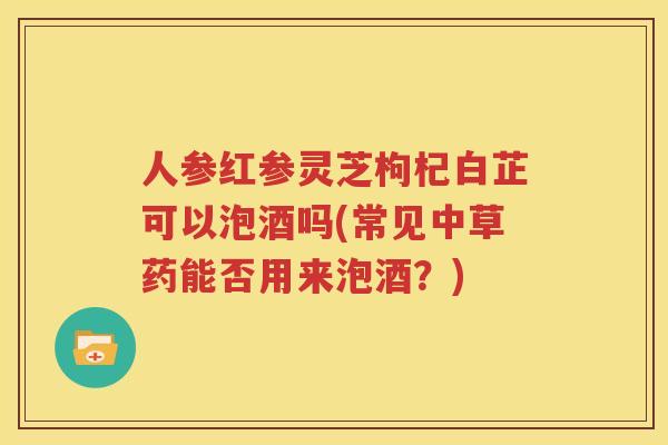 人参红参灵芝枸杞白芷可以泡酒吗(常见中草药能否用来泡酒？)