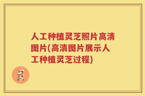 人工种植灵芝照片高清图片(高清图片展示人工种植灵芝过程)