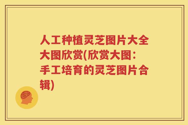 人工种植灵芝图片大全大图欣赏(欣赏大图：手工培育的灵芝图片合辑)