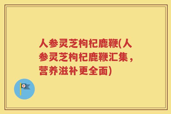 人参灵芝枸杞鹿鞭(人参灵芝枸杞鹿鞭汇集，营养滋补更全面)