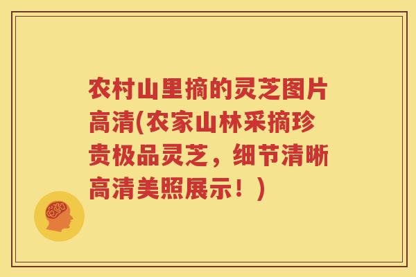 农村山里摘的灵芝图片高清(农家山林采摘珍贵极品灵芝，细节清晰高清美照展示！)