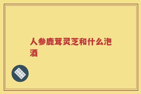 人参鹿茸灵芝和什么泡酒
