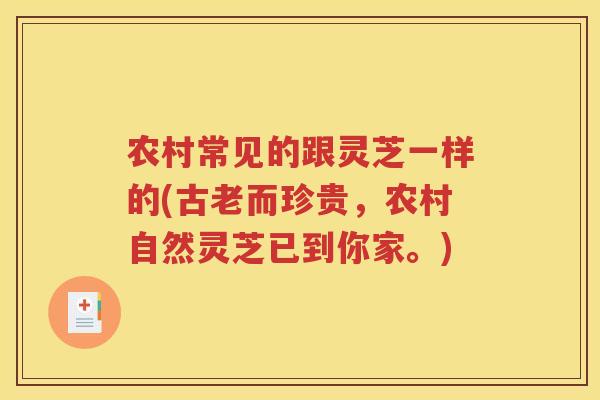 农村常见的跟灵芝一样的(古老而珍贵，农村自然灵芝已到你家。)