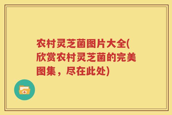 农村灵芝菌图片大全(欣赏农村灵芝菌的完美图集，尽在此处)