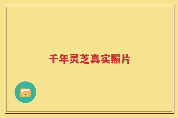千年灵芝真实照片