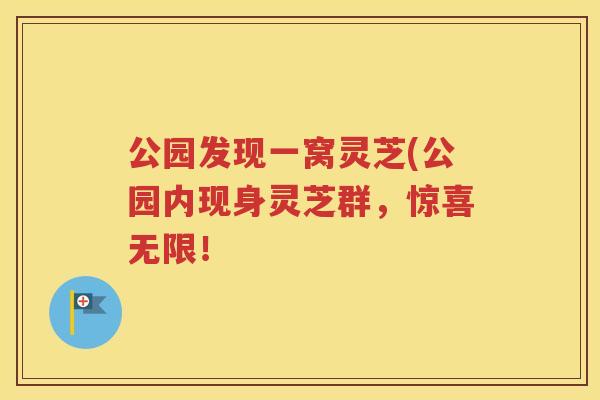 公园发现一窝灵芝(公园内现身灵芝群，惊喜无限！
