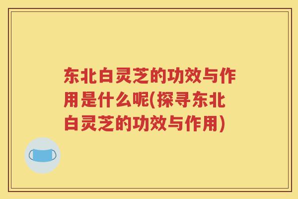 东北白灵芝的功效与作用是什么呢(探寻东北白灵芝的功效与作用)