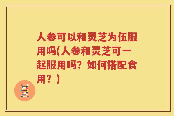 人参可以和灵芝为伍服用吗(人参和灵芝可一起服用吗？如何搭配食用？)