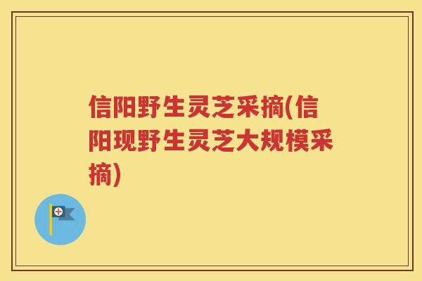 信阳野生灵芝采摘(信阳现野生灵芝大规模采摘)