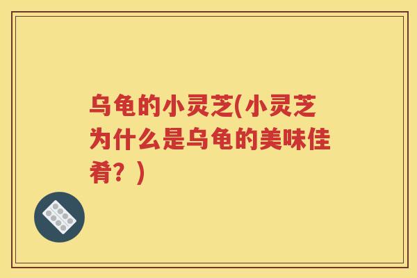 乌龟的小灵芝(小灵芝为什么是乌龟的美味佳肴？)