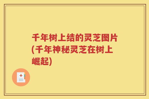千年树上结的灵芝图片(千年神秘灵芝在树上崛起)