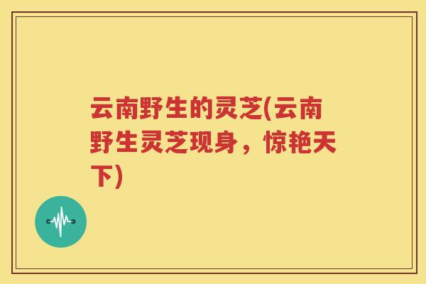 云南野生的灵芝(云南野生灵芝现身，惊艳天下)