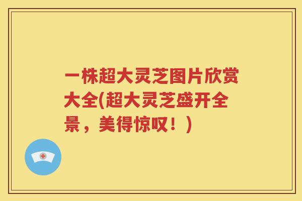 一株超大灵芝图片欣赏大全(超大灵芝盛开全景，美得惊叹！)