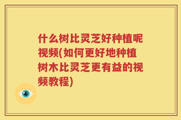 什么树比灵芝好种植呢视频(如何更好地种植树木比灵芝更有益的视频教程)