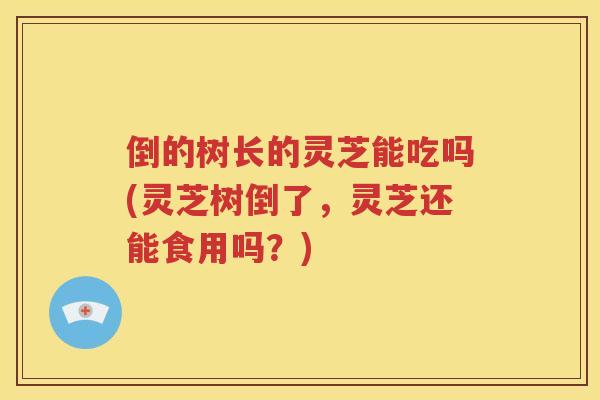 倒的树长的灵芝能吃吗(灵芝树倒了，灵芝还能食用吗？)