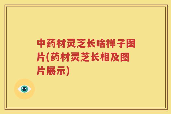 中药材灵芝长啥样子图片(药材灵芝长相及图片展示)