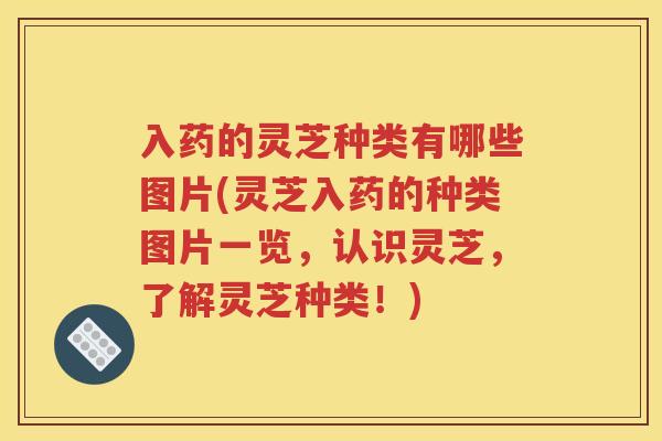 入药的灵芝种类有哪些图片(灵芝入药的种类图片一览，认识灵芝，了解灵芝种类！)