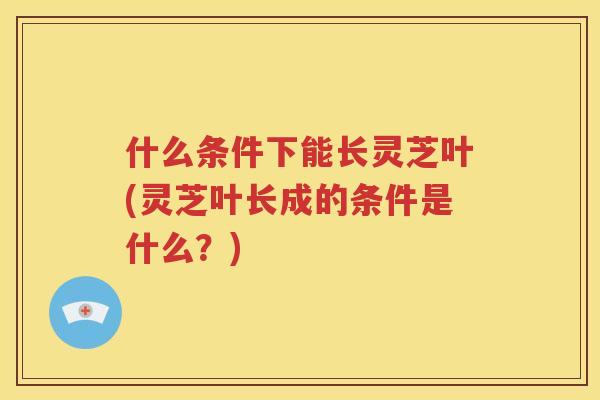 什么条件下能长灵芝叶(灵芝叶长成的条件是什么？)