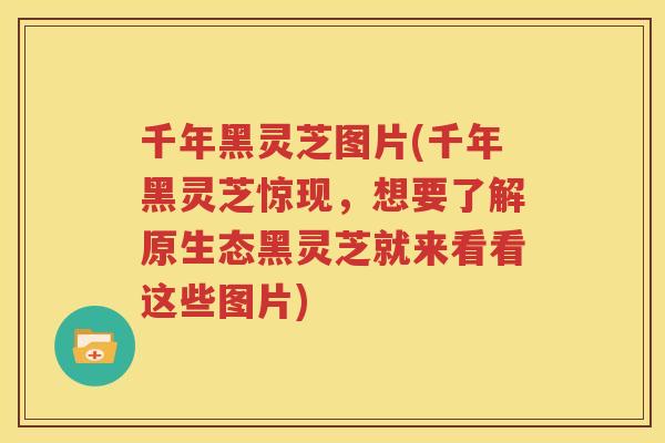 千年黑灵芝图片(千年黑灵芝惊现，想要了解原生态黑灵芝就来看看这些图片)