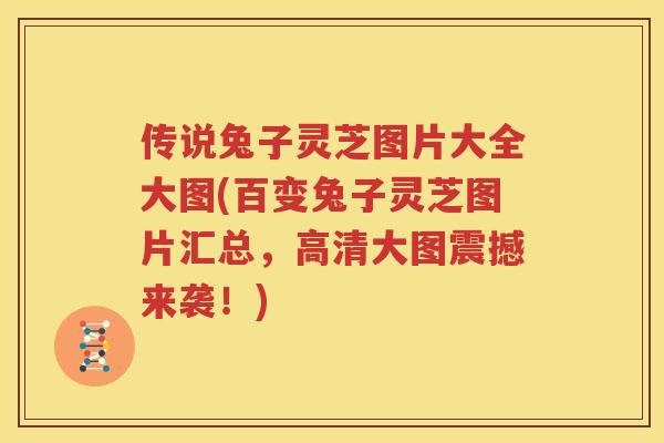 传说兔子灵芝图片大全大图(百变兔子灵芝图片汇总，高清大图震撼来袭！)