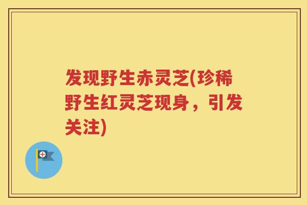 发现野生赤灵芝(珍稀野生红灵芝现身，引发关注)