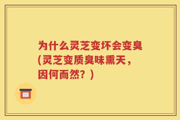 为什么灵芝变坏会变臭(灵芝变质臭味熏天，因何而然？)