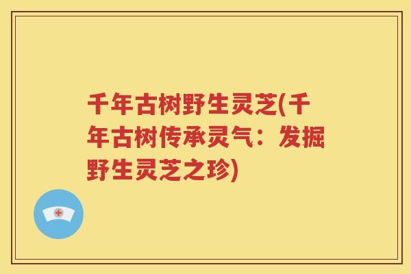 千年古树野生灵芝(千年古树传承灵气：发掘野生灵芝之珍)