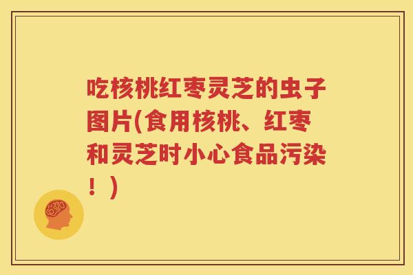 吃核桃红枣灵芝的虫子图片(食用核桃、红枣和灵芝时小心食品污染！)