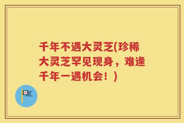 千年不遇大灵芝(珍稀大灵芝罕见现身，难逢千年一遇机会！)