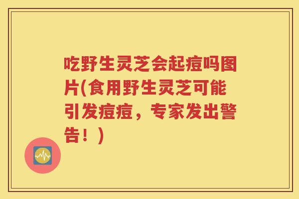 吃野生灵芝会起痘吗图片(食用野生灵芝可能引发痘痘，专家发出警告！)