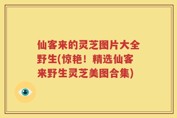 仙客来的灵芝图片大全野生(惊艳！精选仙客来野生灵芝美图合集)