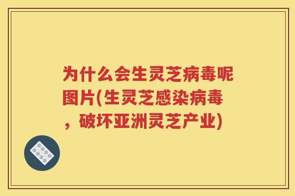 为什么会生灵芝病毒呢图片(生灵芝感染病毒，破坏亚洲灵芝产业)