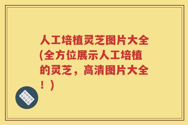 人工培植灵芝图片大全(全方位展示人工培植的灵芝，高清图片大全！)