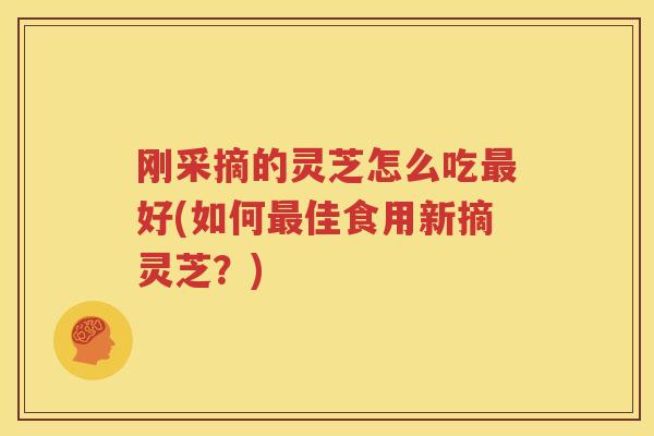 刚采摘的灵芝怎么吃最好(如何最佳食用新摘灵芝？)